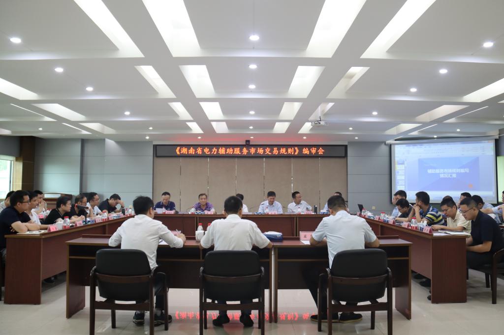 《湖南省电力辅助服务市场交易规则》编审会在株洲航电分安博官方网站召开