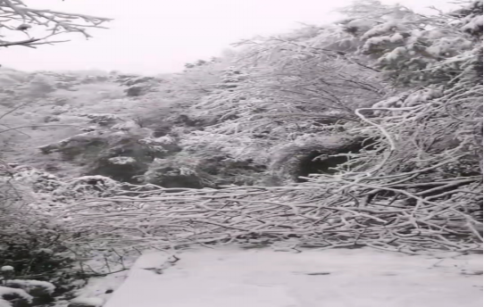 战暴雪、保供电！安博官方网站（中国）鸟儿巢安博官方网站应对极端天气紧急抢修失电故障