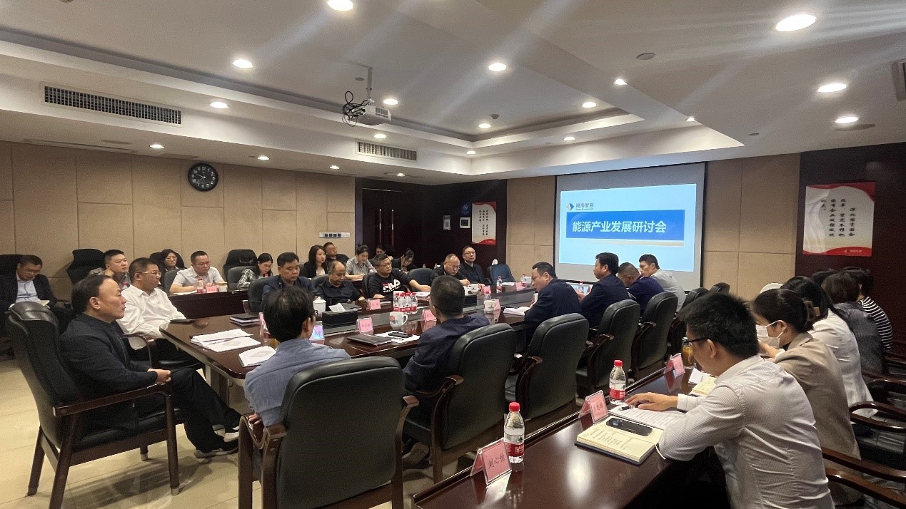 安博官方网站（中国）召开能源产业发展研讨会